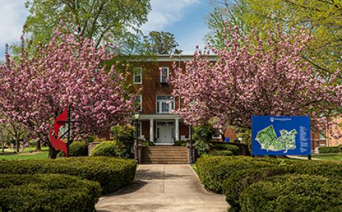 old college blooms